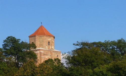 Zdjęcie POLSKA / śląskie / Toszek / Wieża zamku w Toszku