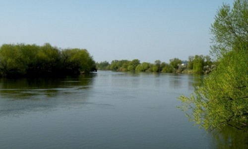 Zdjecie POLSKA / opolskie / Nad Odr / Odra odcinek Opole