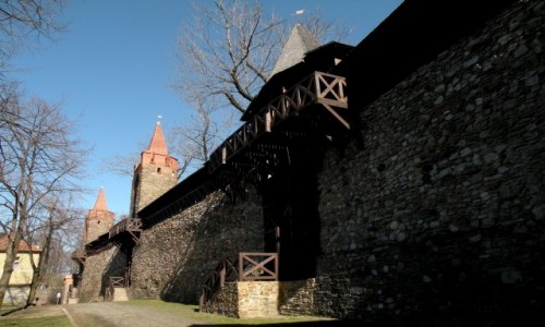 Zdjcie POLSKA / opolskie / Paczkw / Mury obronne