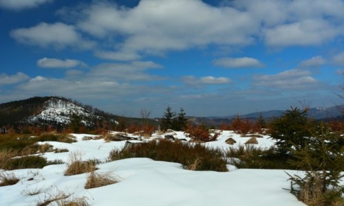 Zdjcie POLSKA / Beskid lski / Szczyrk / W drodze na  Malinowsk Ska .