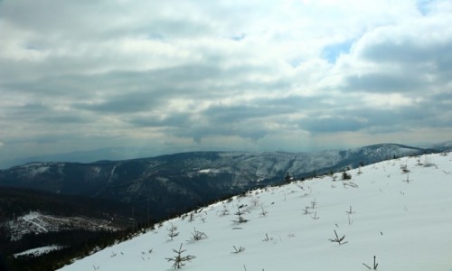 Zdjcie POLSKA / Beskid lski / Szczyrk / W drodze na  Malinowsk Ska....