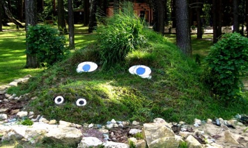 Zdjęcie POLSKA / opolskie / Turawa nad jeziorem / Ja tu pilnuję.