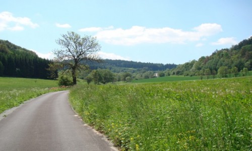 Zdjcie POLSKA / Kotlina Kodzka / Romanowo / Romanowo