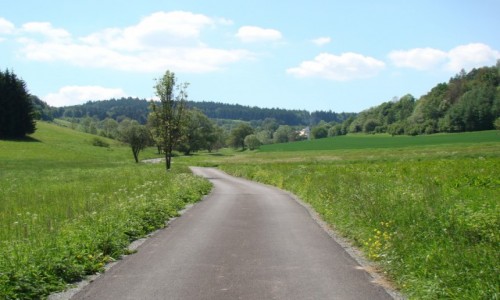 Zdjcie POLSKA / Kotlina Kodzka / Romanowo / W oddali widoczny koci w. Rodziny w Piotrowicach Grnych