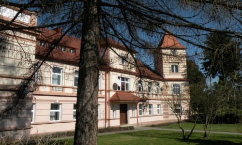 Zdjęcie POLSKA / opolskie / Goworowice / Pałac od strony parku