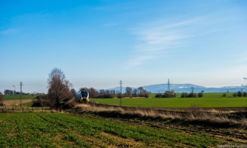 Zdjcie POLSKA / Dolnolskie / Bolesawice / A w grach jeszcze ley nieg