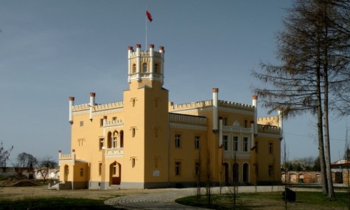 Zdjcie POLSKA / opolskie / Narok / Paac w Naroku