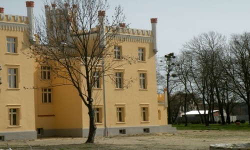 Zdjcie POLSKA / opolskie / Narok / Paac w Naroku