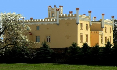 Zdjcie POLSKA / opolskie / Narok / Paac w Naroku