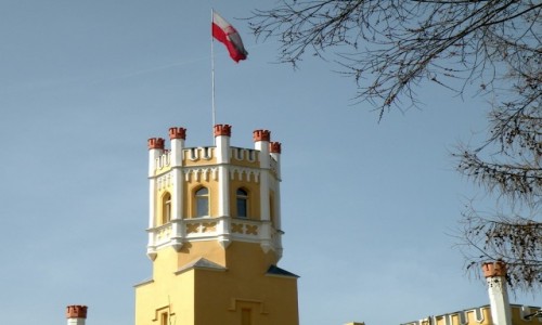 Zdjcie POLSKA / opolskie / Narok / Wiea paacu
