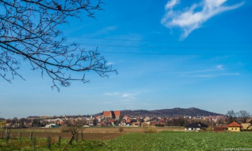Zdjęcie POLSKA / Dolnośląskie / Strzegom / Panorama Strzegomia