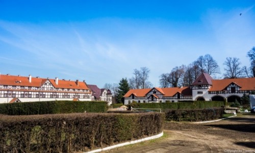 Zdjecie POLSKA / Dolnolskie / Wabrzych / Stadnina w Ksiu