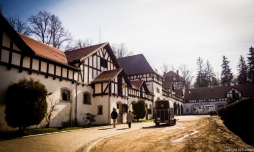 Zdjecie POLSKA / Dolnolskie / Wabrzych / Spacer po stadninie
