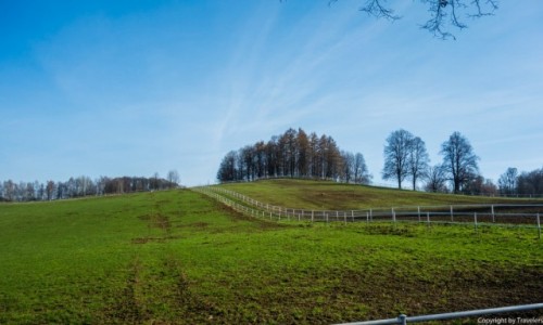 Zdjecie POLSKA / Dolnolskie / Wabrzych / Okolice stadniny