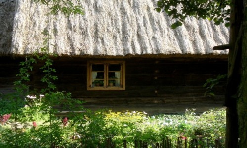Zdjecie POLSKA / kujawsko pomorskie / Toru / Skansen, niemal w centrum miasta.