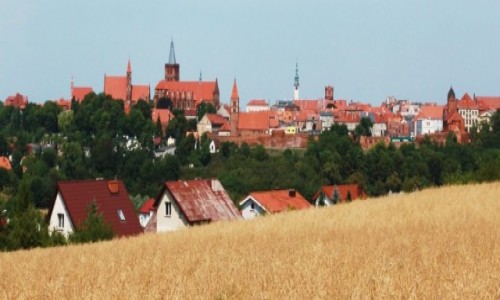Zdjecie POLSKA / Chemno / Pole rzepakowe / Panorama