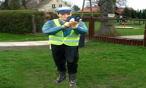 Zdjęcie POLSKA / Opolskie / okolice Olesna /