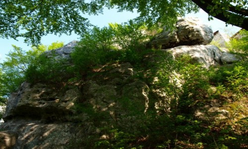 Zdjęcie POLSKA / jura krakowsko-częstochowska / Morsko / Morsko 3
