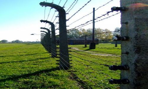 Zdjecie POLSKA / brak / Oswiecim-Birkenau / granica życia i śmierci