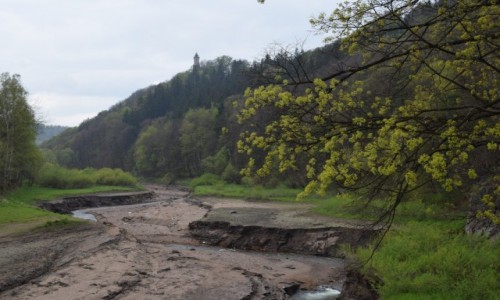Zdjecie POLSKA / Dolny lsk / Zagrze lskie / Majwka w Zagrzu lskim