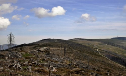 Zdjecie POLSKA / Beskid lski / .. / w stron Skrzycznego
