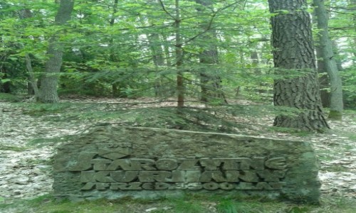 Zdjęcie POLSKA / Dolny Śląsk / Oborniki Śląskie / Znalezione podczas niedzielnego spaceru:)