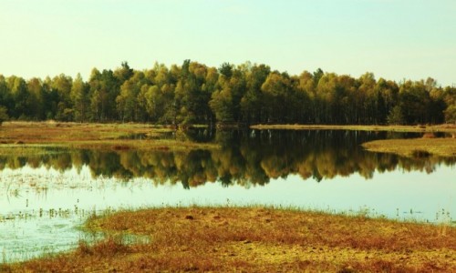 Zdjecie POLSKA / Pomorskie / Sowiski Park Narodowy / Wielkie Bagno