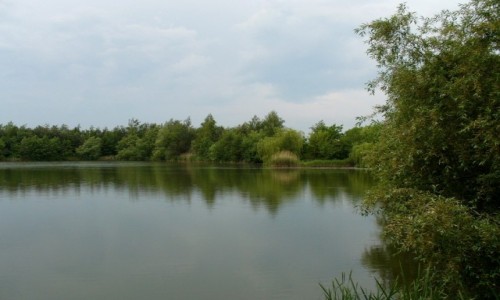 Zdjęcie POLSKA / opolskie / Zielona zatoka / Cisza i spokój nad zalewem.
