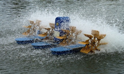 Zdjęcie POLSKA / opolskie / Zielona Zatoka / Pomysłowy napowietrzacz.