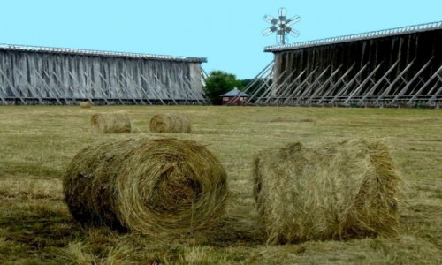 Zdjęcie POLSKA / kujawsko pomorskie / Kurort Ciechocinek / Sianokosy pod tęzniami