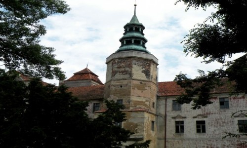 Zdjcie POLSKA / opolskie / Niemodlin / Wiea zamku