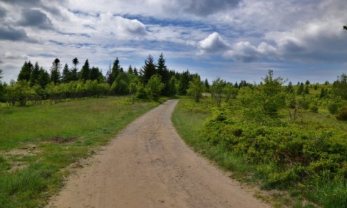 Zdjcie POLSKA / Beskid May / Potrjna / Na Potrjnej 