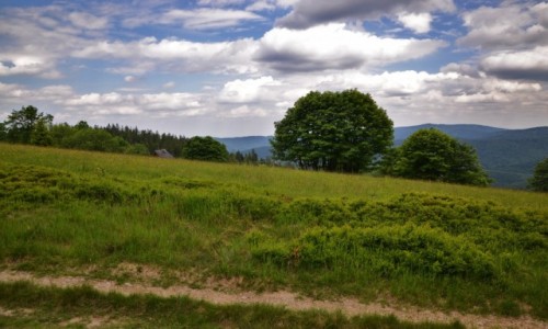 Zdjcie POLSKA / Beskid May / Potrjna / Na Potrjnej III