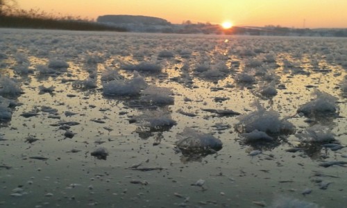 Zdjęcie POLSKA / Mazury / okolice Mikolajek / Zima