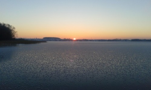 Zdjęcie POLSKA / Mazury / okolice Mikolajek / Zima