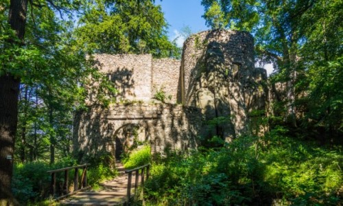 Zdjcie POLSKA / Dolnolskie / Rudawski Park Krajobrazowy / Zamek Bolczw - wejcie gwne