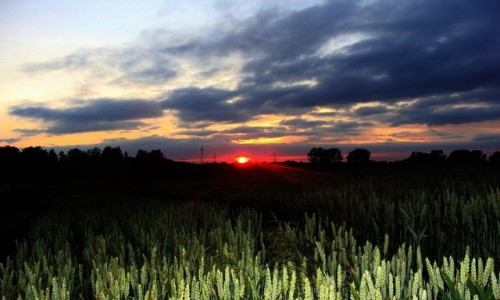 Zdjecie POLSKA / Mazury / Okolice Ktrzyna / Noc nadchodzi....