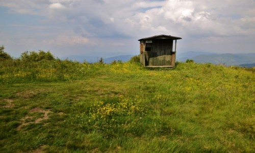 Zdjcie POLSKA / Beskid ywiecki / Wielka Racza / Samotnia