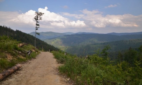 Zdjcie POLSKA / Beskid ywiecki / Wielka Racza / Widok na Rycerzow