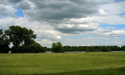 Zdjęcie POLSKA / kujawsko pomorskie / Słońsk / Wiślane pejzaże