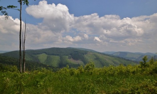 Zdjecie POLSKA / Beskid ywiecki / Jaworzyna / Widok na Kysuce