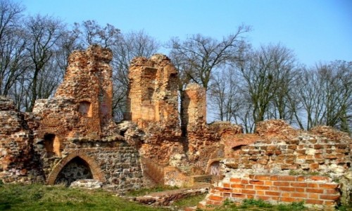 Zdjęcie POLSKA / kujawsko pomorskie / Raciążek / Malownicze ruiny zamku w Raciążku.