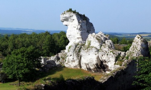 Zdjecie POLSKA / Jura Krakowsko-Czstochowska / Ogrodzieniec, Podzamcze / Na stray