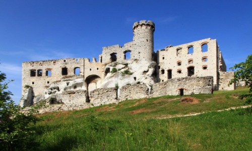 Zdjecie POLSKA / Jura Krakowsko-Czstochowska /  Podzamcze / Zamek Ogrodzieniec