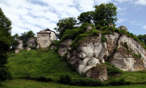 Zdjcie POLSKA / Jura Krakowsko-Czstochowska / Ojcw / Zamek Kazimierza Wielkiego