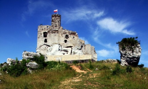 Zdjcie POLSKA / Jura Krakowsko-Czstochowska / Mirw / Ruiny zamku