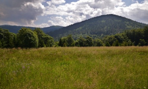 Zdjcie POLSKA / Beskid ywiecki / Przegibek / Bania