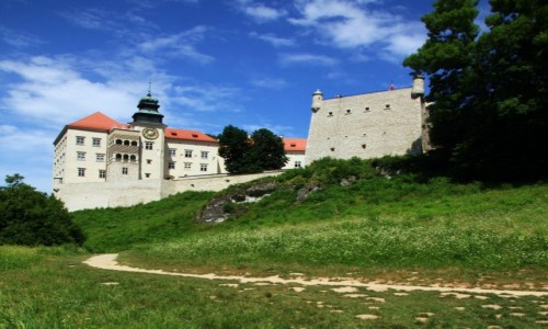 Zdjcie POLSKA / Jura Krakowsko-Czstochowska / Pieskowa Skaa / Scieka wok zamku