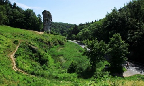 Zdjcie POLSKA / Jura Krakowsko-Czstochowska / Pieskowa Skaa / Sciek do maczugi