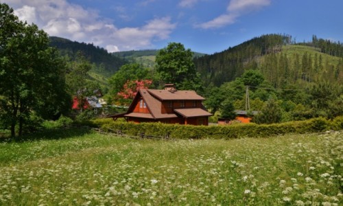 Zdjcie POLSKA / Beskid ywiecki / Rycerka / Z dala od zgieku